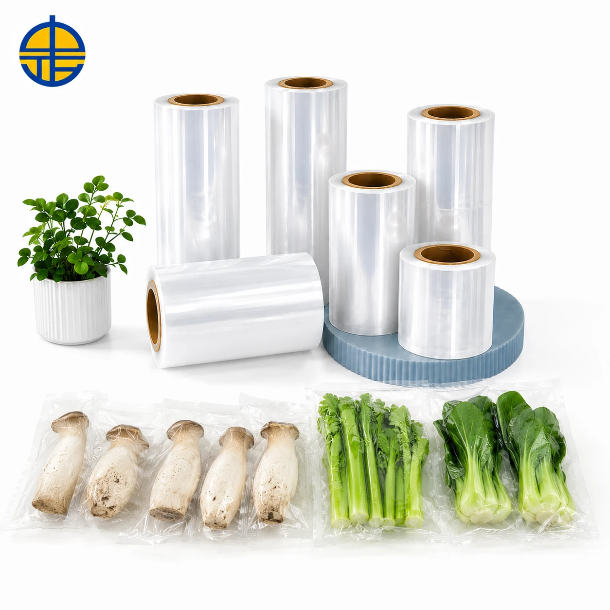 Zhongzheng Packaging